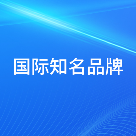 Ok138大阳城集团娱乐平台获得“国际知名品牌”荣誉
